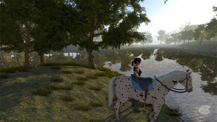 Image du produit Bigben My little Riding Champion (PS4, DE)
