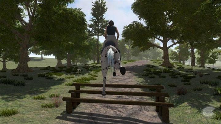Image du produit Bigben My little Riding Champion (PS4, DE)