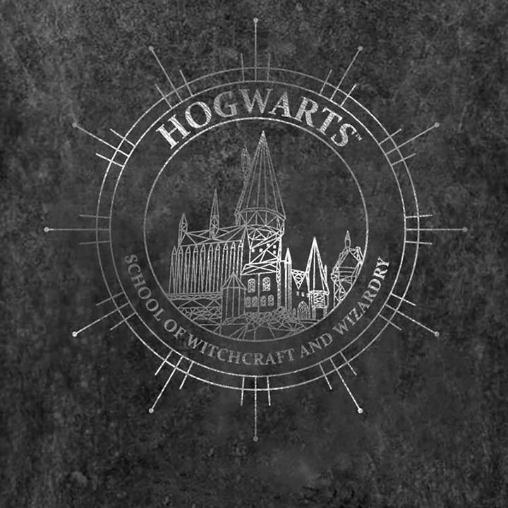 Image du produit T-shirt Hogwarts Constellation (L)