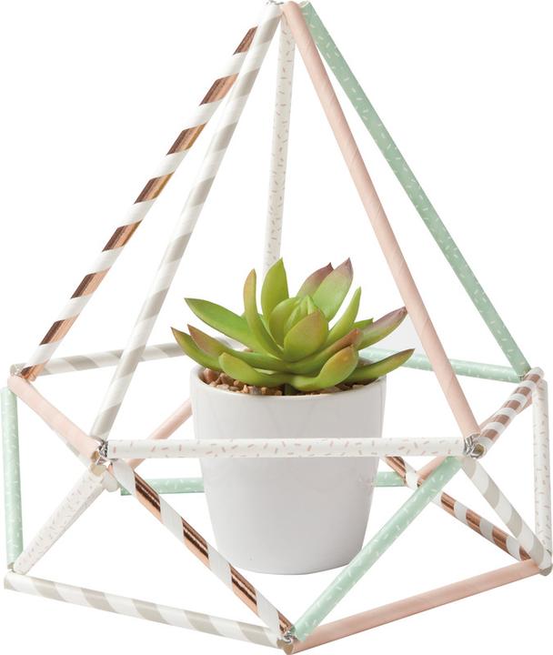 Immagine prodotto Folia Cannucce (25 x)