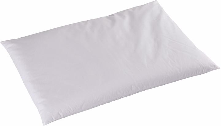 Image du produit DOR Coussin de millet NATURE (40 x 30 cm)