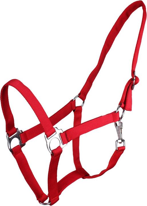 Qhp Nylonhalfter mit Schiebeschnalle