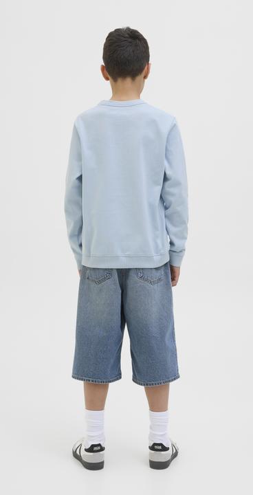 Produktbild Jack & Jones Gedruckt Sweatshirt Junior Sweatshirt (176)