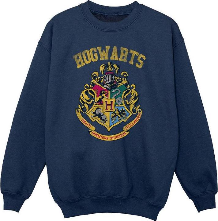 Produktbild Sweatshirt Mädchen (104)