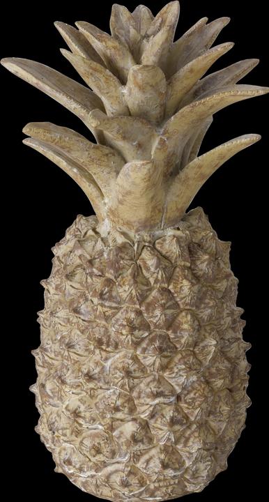 Immagine prodotto Boltze Home Ananas