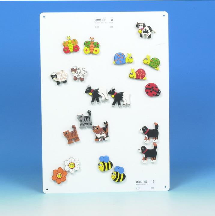Actual product image Oxy Magnettafel (1 x)