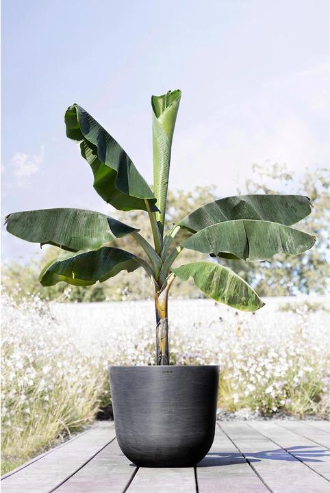 Actual product image Ecopots Oslo (45 cm)