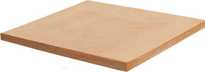 Actual product image VAR Worktop beech 1er D:69 cm (Wood)