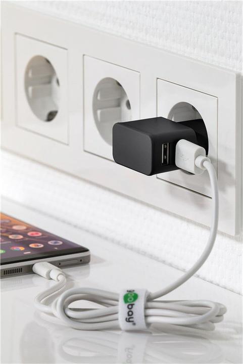 Image du produit Goobay Double chargeur USB A (12 W)