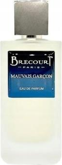 Produktbild Brecourt Paris Brecourt Bad Boy Eau De Parfum 100ml (Eau de Parfum, 100 ml)