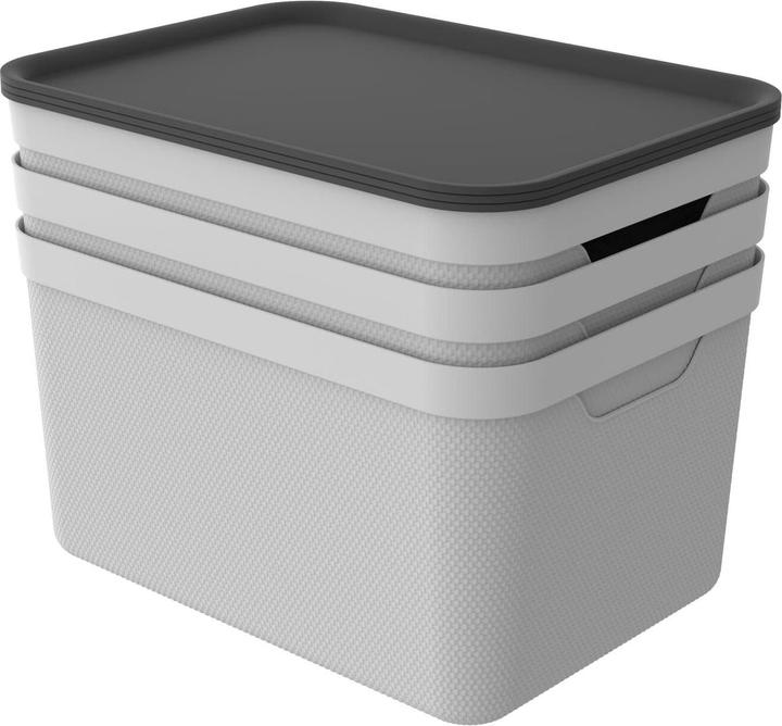 Immagine prodotto Rotho Jive (36,5 x 26,5 x 20 cm, 18 l)