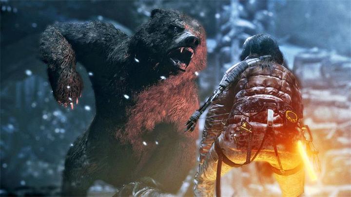 Actual product image Square Enix Rise of the Tomb Raider (PS4, DE)