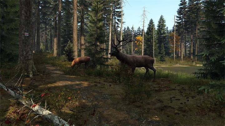 Actual product image Sold Out DayZ (PS4, DE)