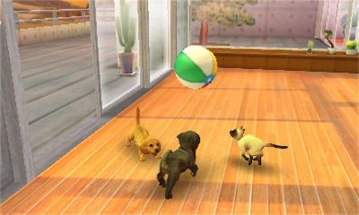 Immagine prodotto Nintendo Nintendogs + Cats: Golden Retriever (3DS, Multilingue)