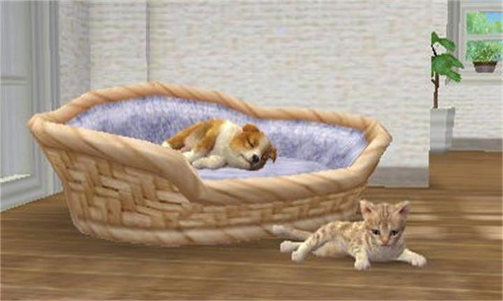 Immagine prodotto Nintendo Nintendogs + Cats: Golden Retriever (3DS, Multilingue)