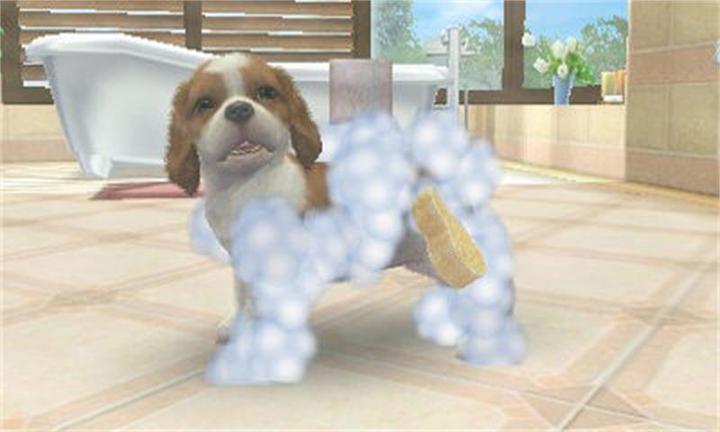 Immagine prodotto Nintendo Nintendogs + Cats: Golden Retriever (3DS, Multilingue)