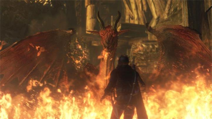 Actual product image Capcom Dragon's Dogma: Dark Arisen -US- (Switch, Switch Lite, Switch OLED, EN)