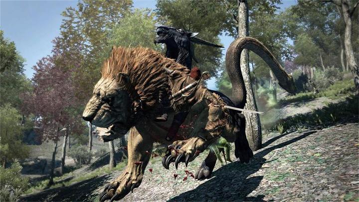 Actual product image Capcom Dragon's Dogma: Dark Arisen -US- (Switch, Switch Lite, Switch OLED, EN)