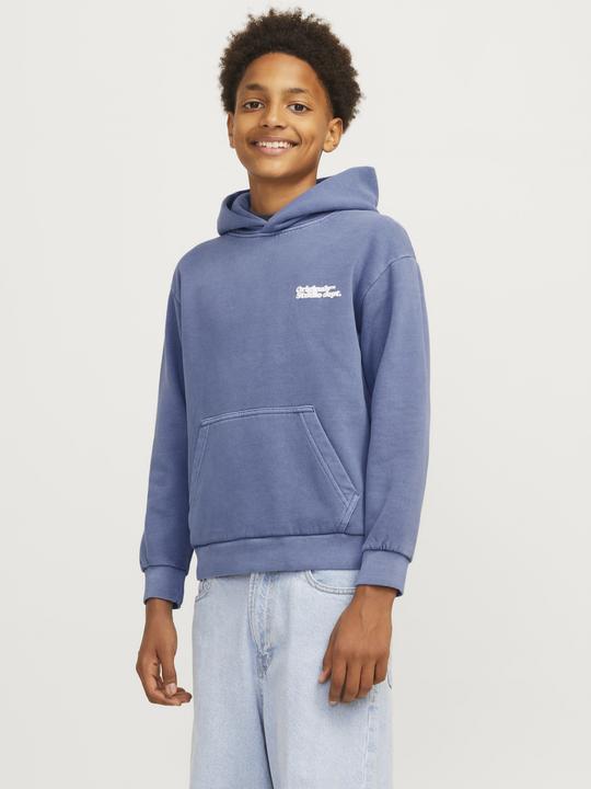 Image du produit Jack & Jones Sweat à capuche JORVERMONT (176)
