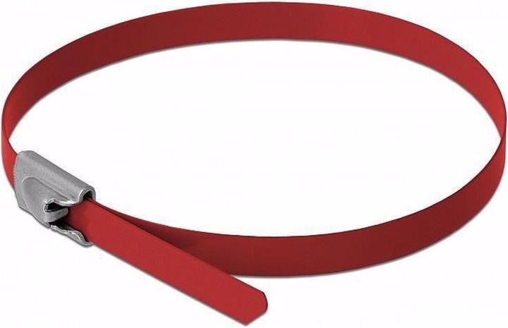 Produktbild Delock Edelstahlkabelbinder 300x4,6 10 Stk. (Metallkabelbinder, 300 mm, 10 Stk.)