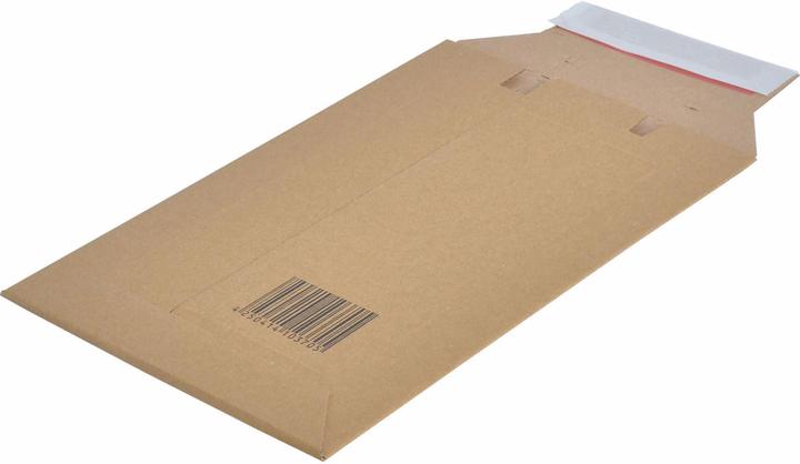 Produktbild Fellowes Versandkarton DVD (1 x)