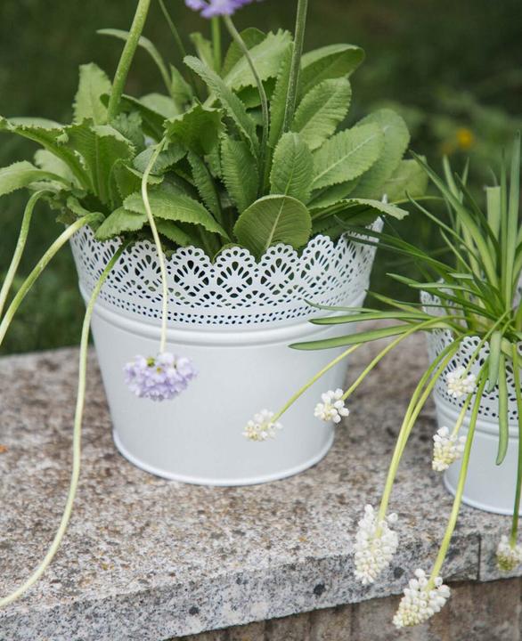 Image du produit Esmée Pot de fleurs, cache-pot avec pointes, tôle (18 cm)