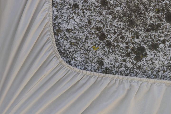 Image du produit lavie Lakan (180 x 200 cm)