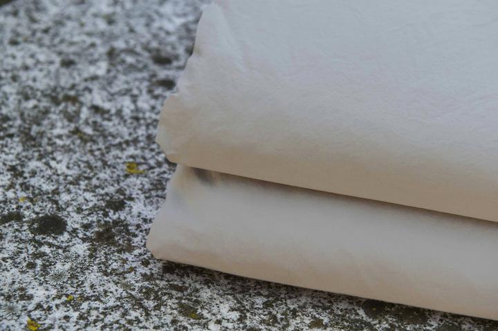 Immagine prodotto lavie Lakan (90 x 200 cm)
