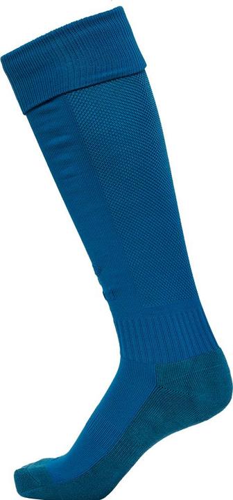 bluecoralbluecoral