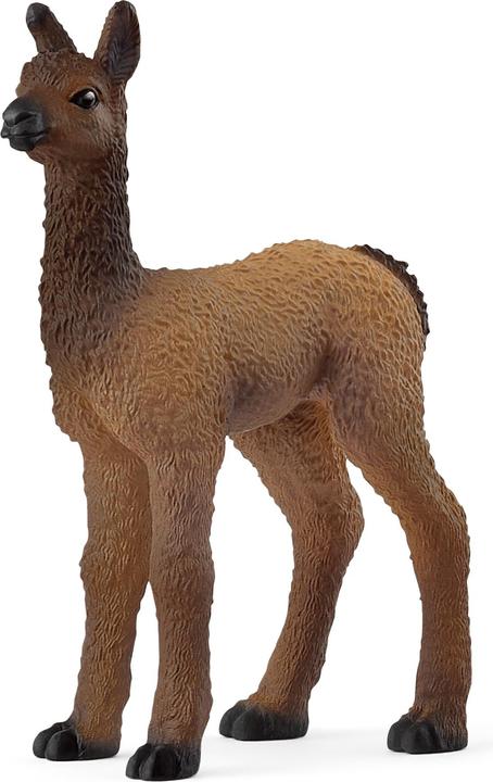 Actual product image Schleich Llama foal