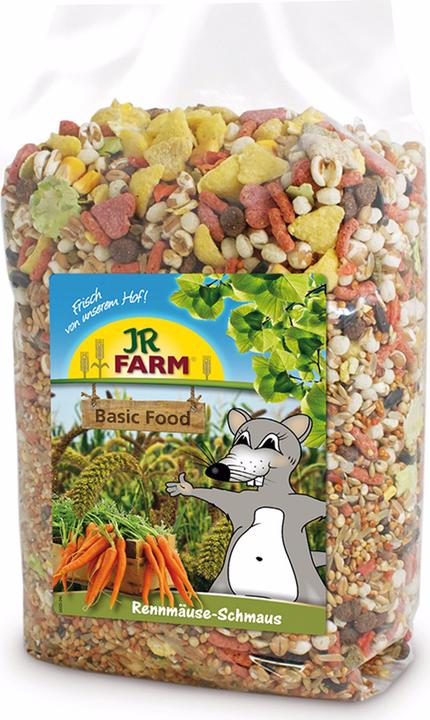 Actual product image JR Farm Gerbils feast (0.60 kg, 1 x)