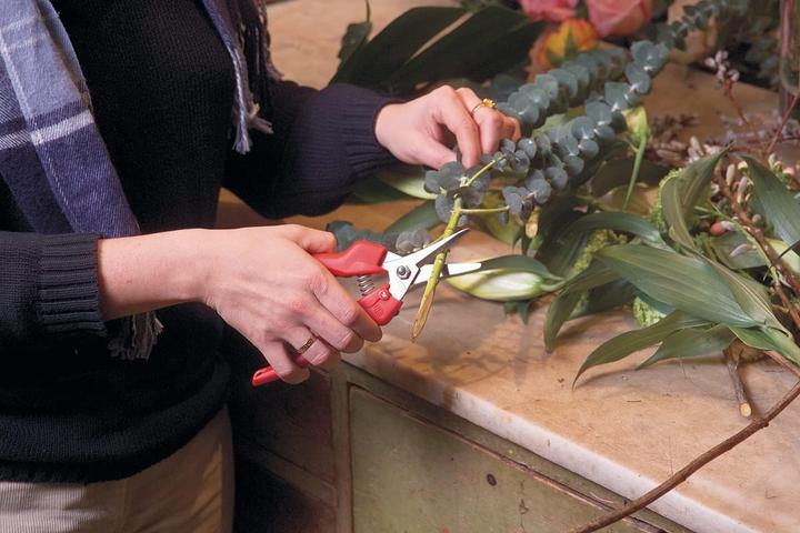 Immagine prodotto Felco forbici per fiori e frutta