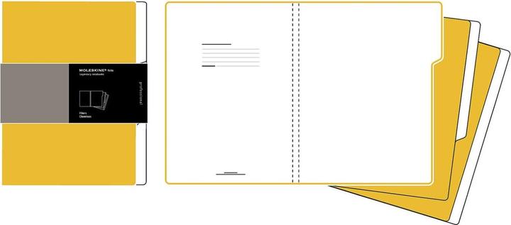 Actual product image Moleskine Folder A4 orange (A4)