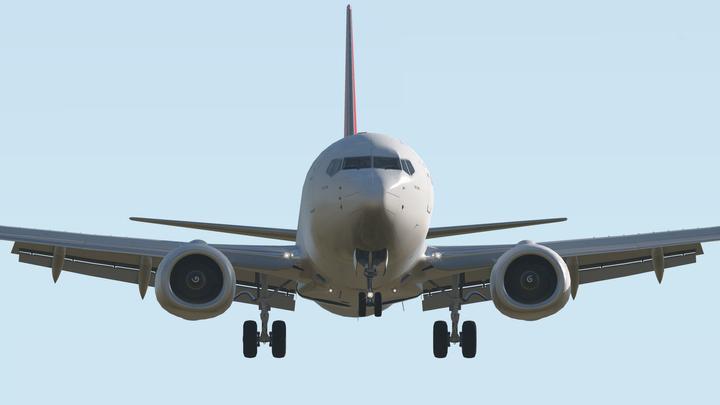 Produktbild Flight Simulator X-Plane 11 (Mac, PC)