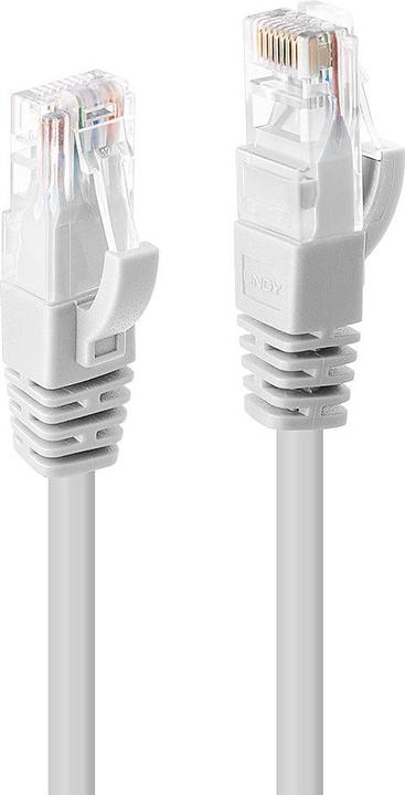 Lindy Câble réseau (UTP, CAT6, 1 m)
