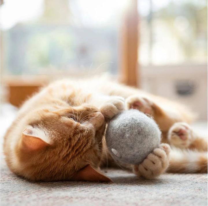 Image du produit CanadianCat Jouet pour chats Balle en feutre avec sac à parfum (Jouet à balle chat)