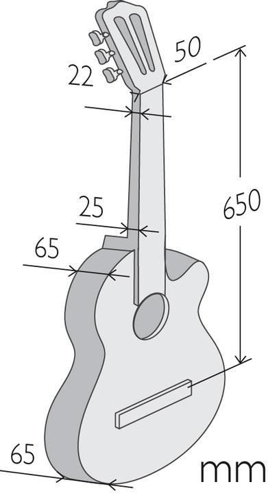 Actual product image Alhambra Z-Nature CT EZ (Semi acoustic guitar)