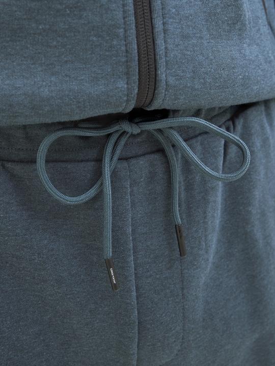 Produktbild Jack & Jones Regular Fit Regular Fit Shorts Regular Fit Shorts (L)