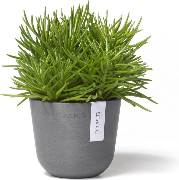 Produktbild Ecopots Oslo Mini (11.50 cm)