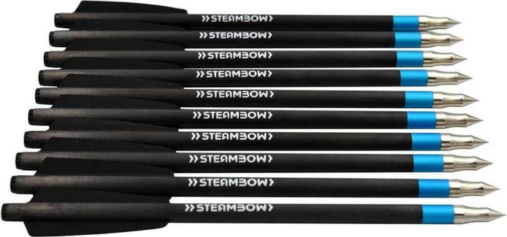 Steambow AR-Serie Carbon- Sportpfeile leicht