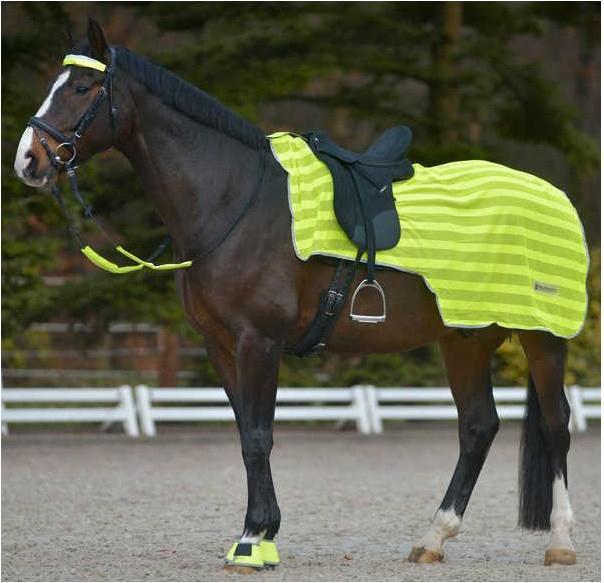Image du produit Waldhausen Couvre-reins réfléchissant