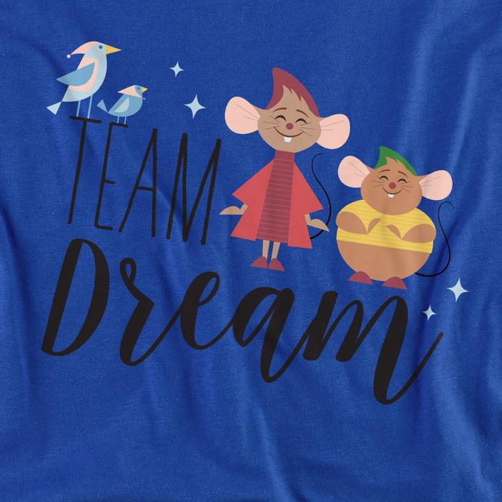 Produktbild Cinderella Team Dream TShirt (S)