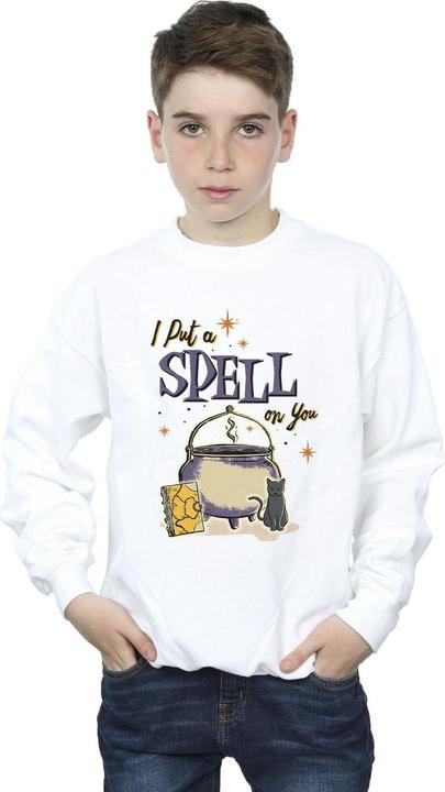 Produktbild Disney Hocus Pocus Spell On You Sweatshirt Jungen (152, 158)