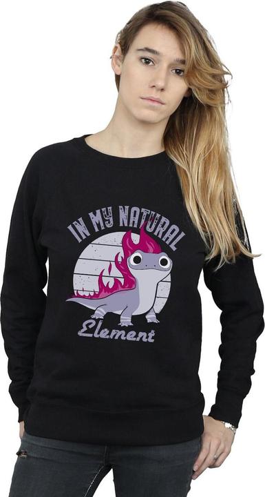 Produktbild Disney Frozen 2 Salamander Bruni Element Sweatshirt (XL)