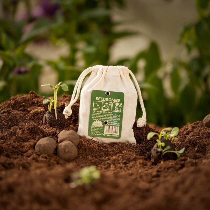 Produktbild Die Stadtgärtner Samenbomben Bienenschmaus (Blumensamen)