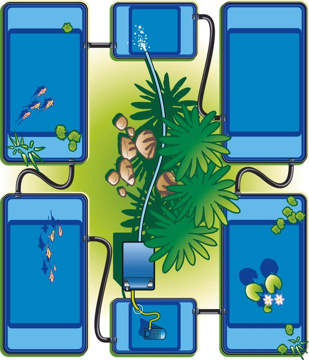 Image du produit Neogard Étang Quadra C2
