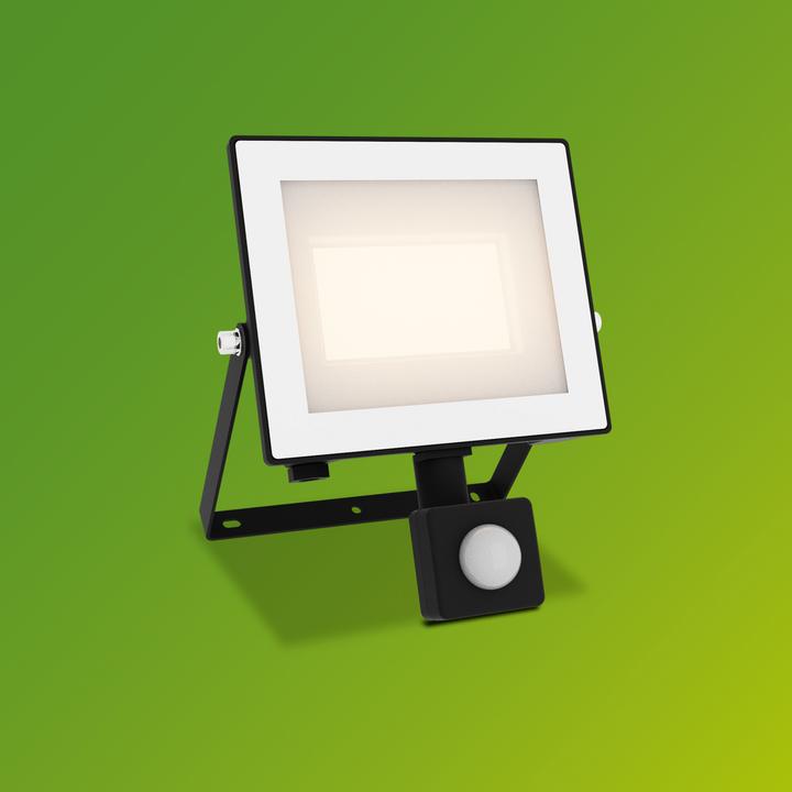 Immagine prodotto Philips Outdoor Flutlicht Lois (2700 lm, IP65)