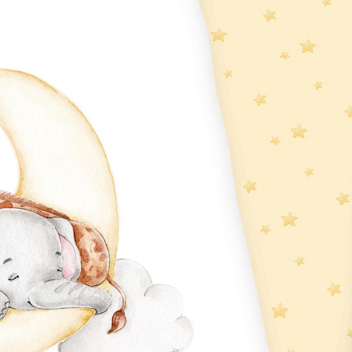 Image du produit Herding Sleeping on the moon