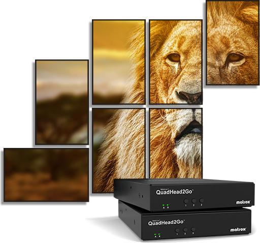 Actual product image Matrox QuadHead2Go Q155 Multi-Monitor Controller Appliance / Q2G-H4K