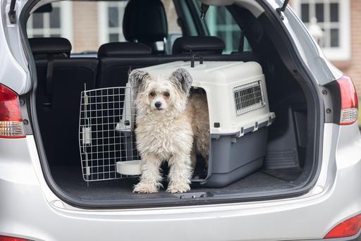 Image du produit Karlie Boîte de transport nomade (Chien, Chat, Verrouillable)